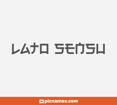 Lato Sensu